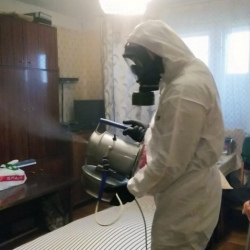 Дезинфекция от клопов в Курлово